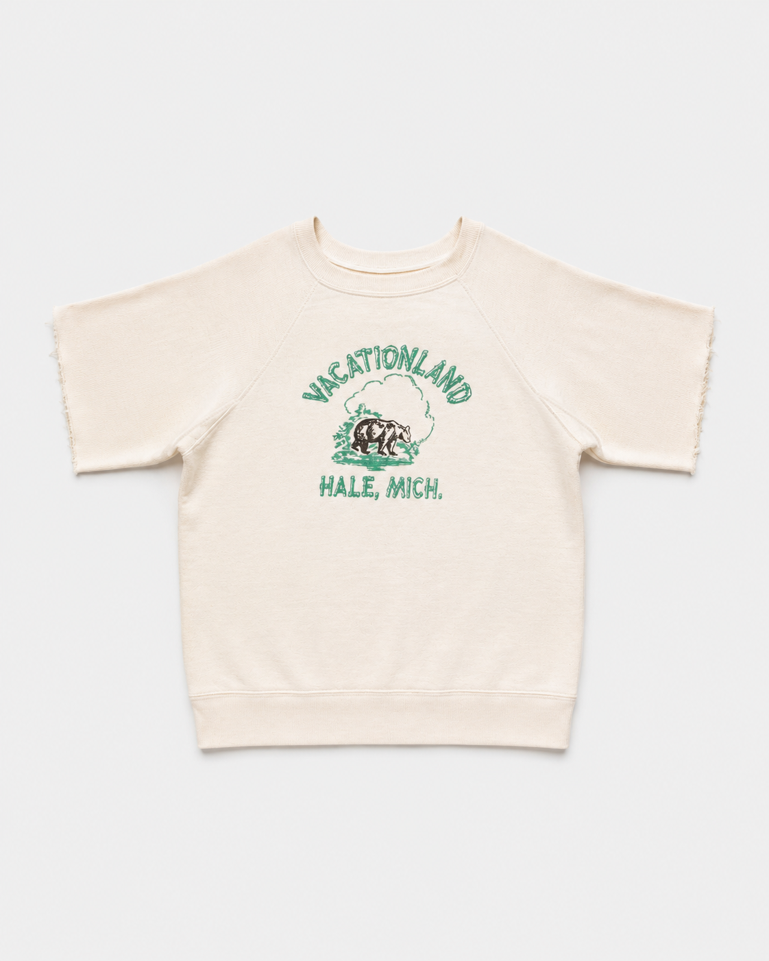 1950s Sweatshirt, Freedom Sleeve Sweatshirt, Raglan Sweatshirt, Vintage Souvenir Sweatshirt, Hale Michigan, Vacationland Sweatshirt, National Park Style, 1950s Sportswear, Vintage Athletic Wear, True Vintage Sweatshirt, Made in USA Vintage. BSA scout, single V, double V afterhoodie, afterhood, two tones sweat-shirt 50s russels, champion, jc penneys, lowe Campbell