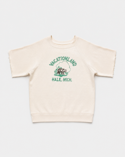 1950s Sweatshirt, Freedom Sleeve Sweatshirt, Raglan Sweatshirt, Vintage Souvenir Sweatshirt, Hale Michigan, Vacationland Sweatshirt, National Park Style, 1950s Sportswear, Vintage Athletic Wear, True Vintage Sweatshirt, Made in USA Vintage. BSA scout, single V, double V afterhoodie, afterhood, two tones sweat-shirt 50s russels, champion, jc penneys, lowe Campbell