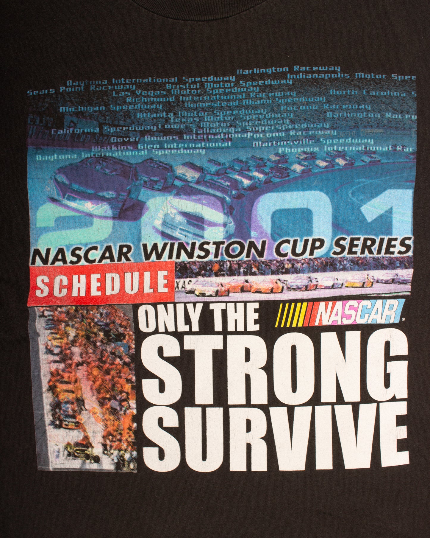 2001 NASCAR Racing (L)