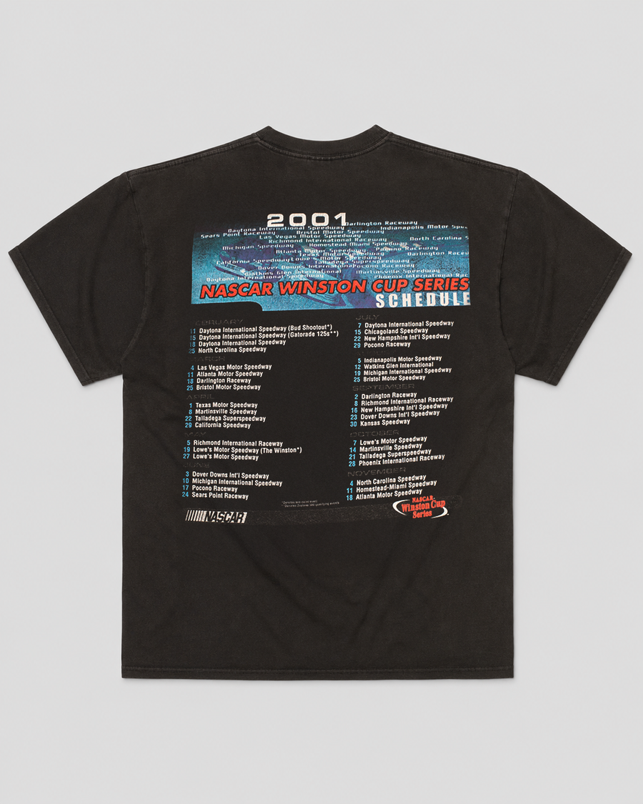 2001 NASCAR Racing (L)