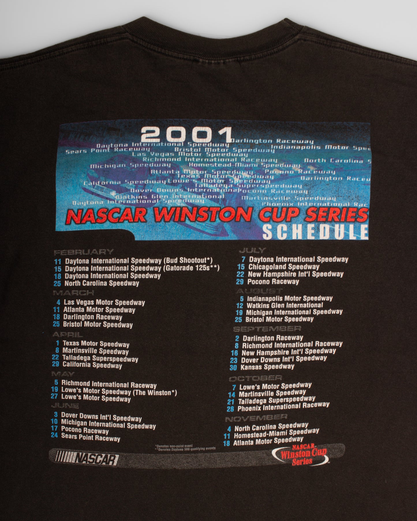 2001 NASCAR Racing (L)