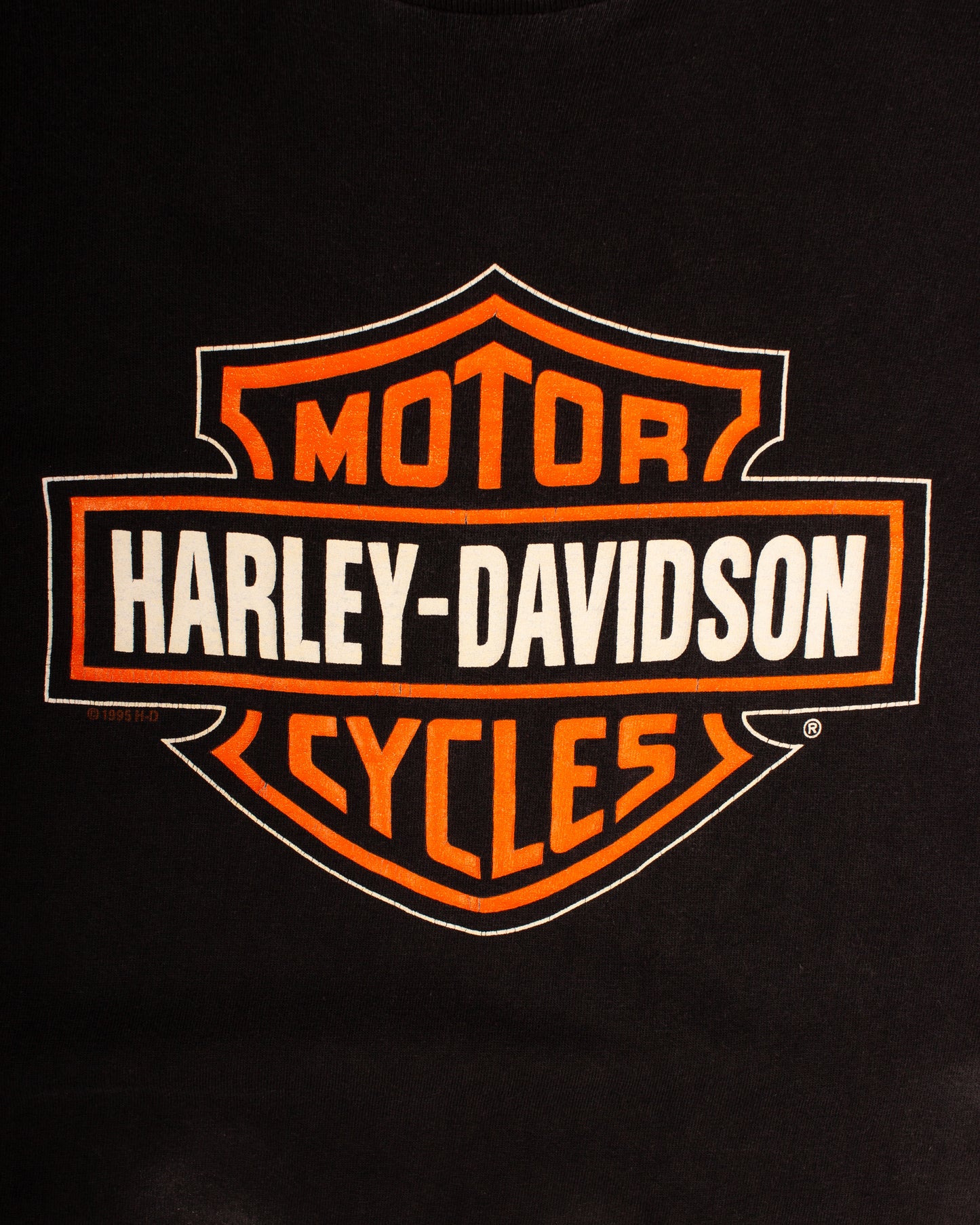 1995 Harley Davidson (M)