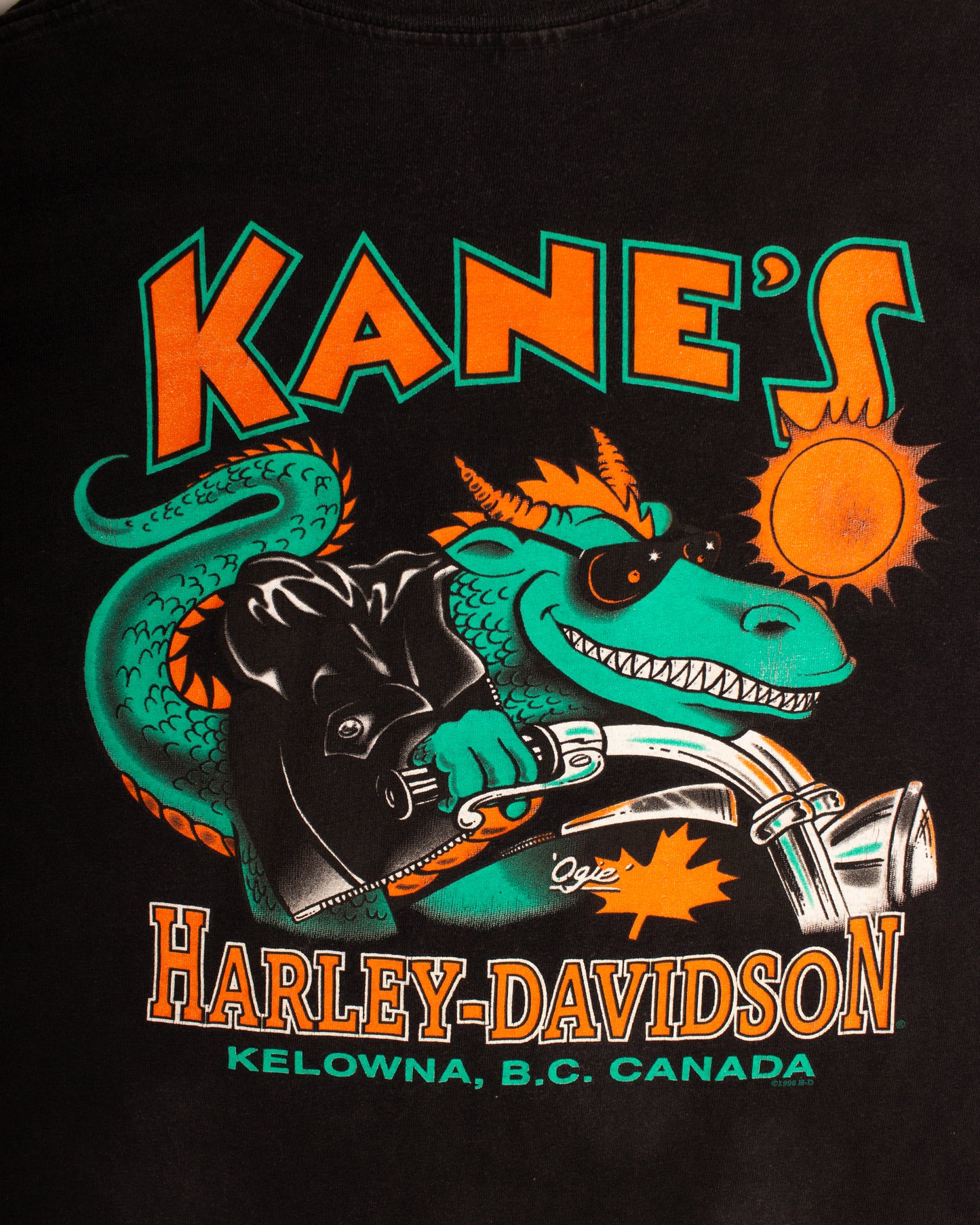 1995 Harley Davidson (M)