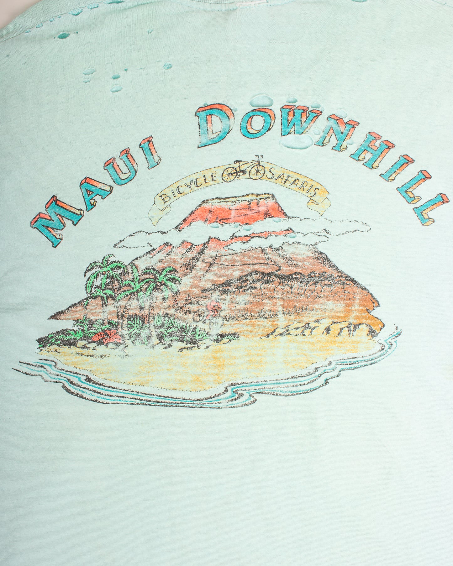 1980s Maui Downhill (L)