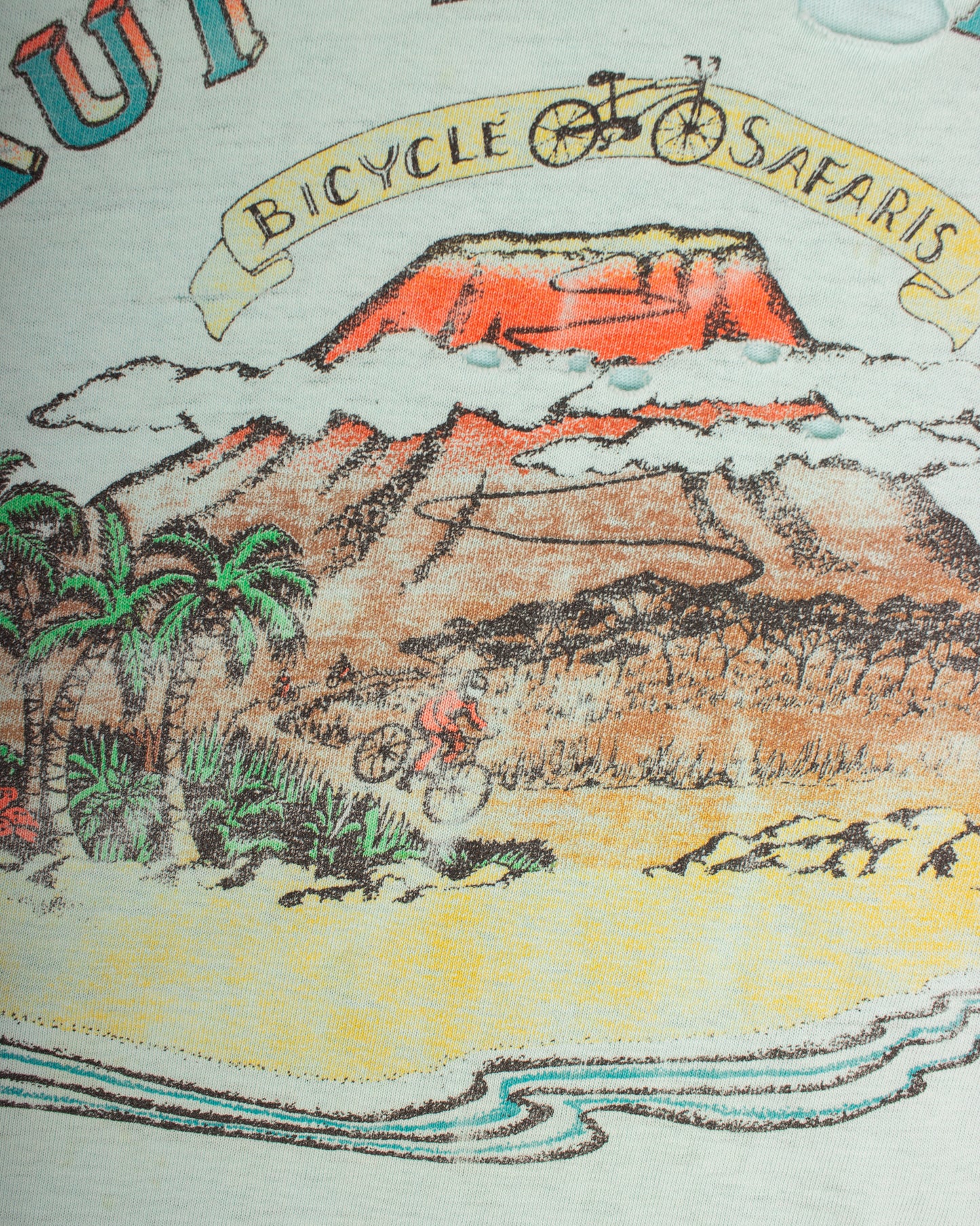 1980s Maui Downhill (L)