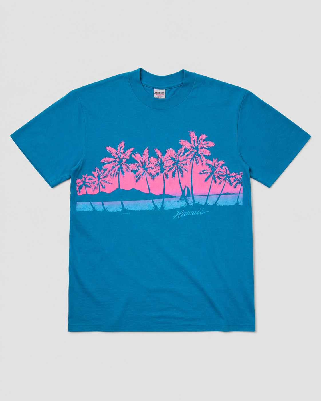 1990s Hawaii souvenir tee (L)