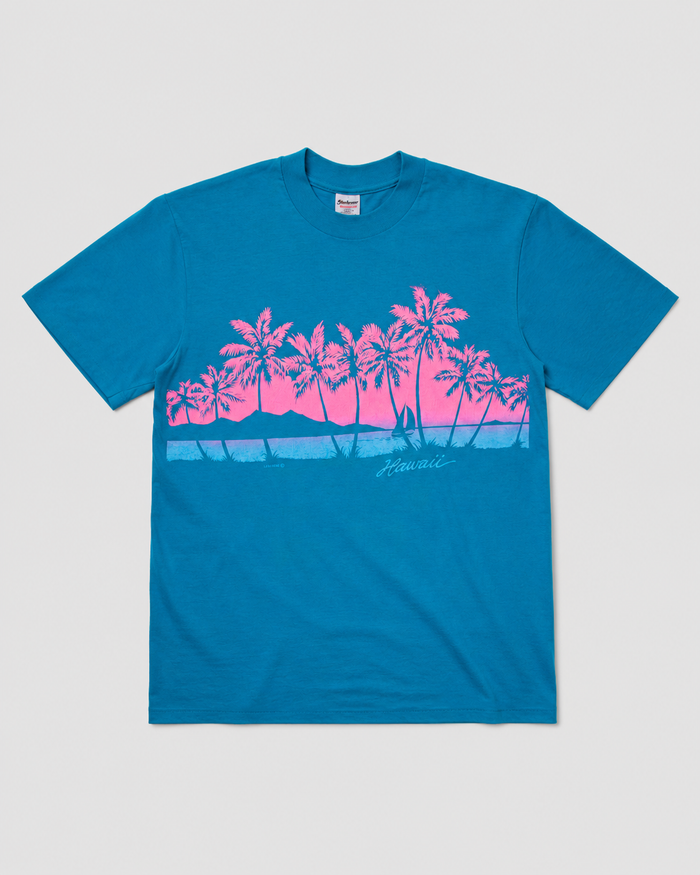1990s Hawaii souvenir tee (L)