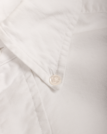 Close-up of a white textured button-down shirt collar with a single white button.